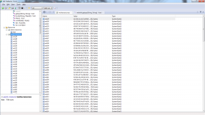 newbotnet6