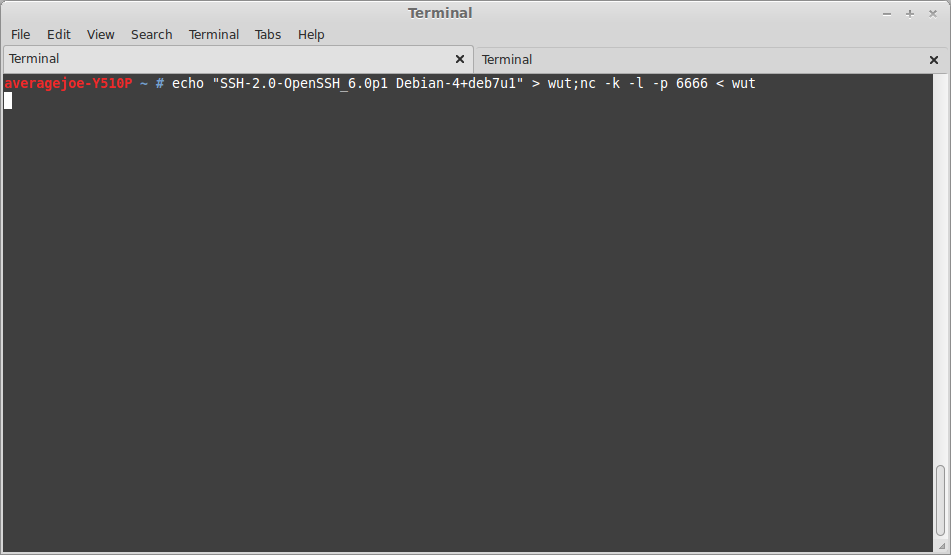 Запускатор сервера майнкрафт на линукс. Service apache2 doesn't work. Start sh. Server font. User terminal